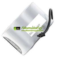Csereakkumulátor az ABB 3/LI-160 60.15809-hez