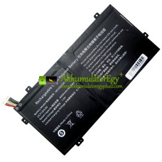 Csereakkumulátor PDA 10 csatokhoz-8Lines AEC698590-2S1P