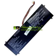 Csereakkumulátor PDA 10 csatokhoz-9Lines 4674118-2S