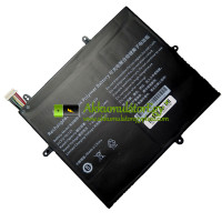 Csereakkumulátor PDA 10Lines 2679125-2S1P