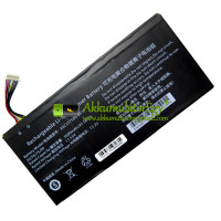Csereakkumulátor PDA 10Lines AEC317599-3S1P-hez
