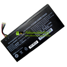 Csereakkumulátor PDA 10Lines AEC317599-3S1P-hez