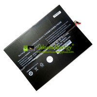 Csereakkumulátor PDA 10Lines AEC3179109-4S2P-hez