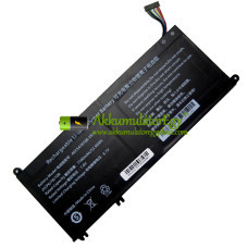 Csereakkumulátor PDA-hoz 12Buckles-10Lines AEC5478108-2S1P